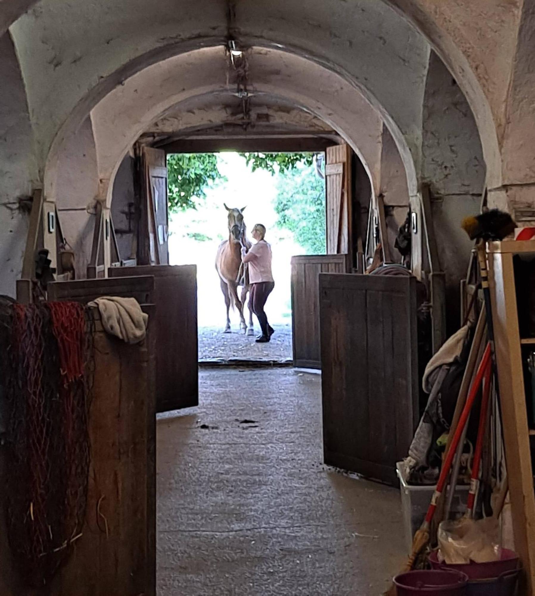 Ferienwohnung Ottmanach Josefhof Pischeldorf Eksteriør bilde