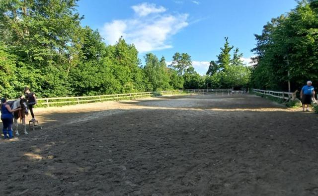 Ferienwohnung Ottmanach Josefhof Pischeldorf Eksteriør bilde